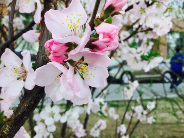Spring_3