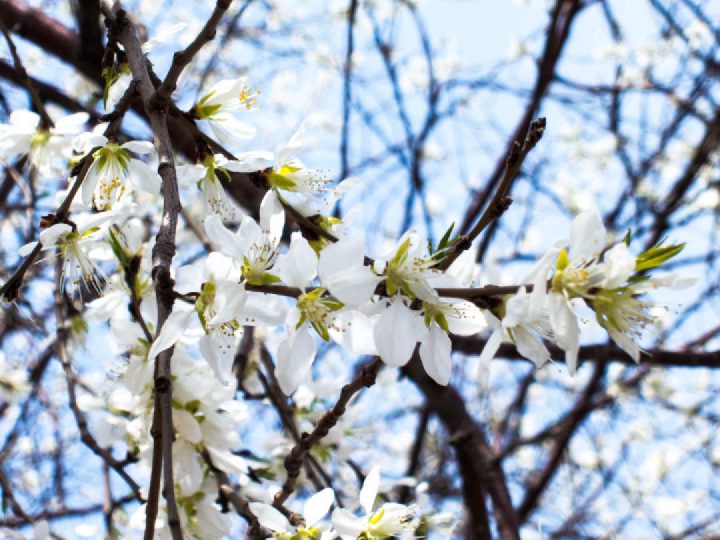 Spring_9