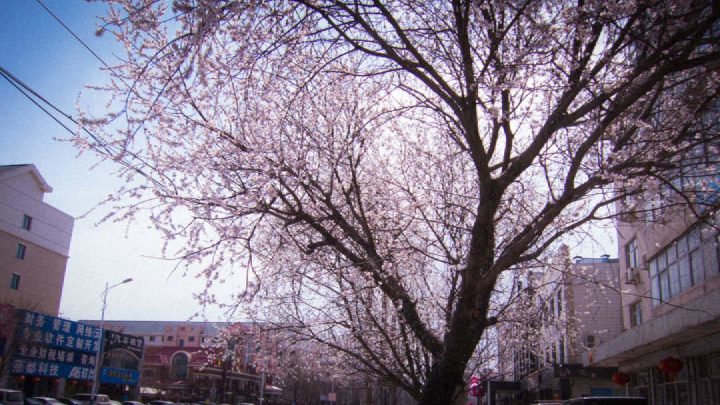 Spring_10