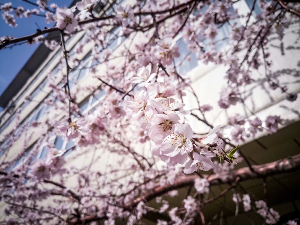 Spring 3