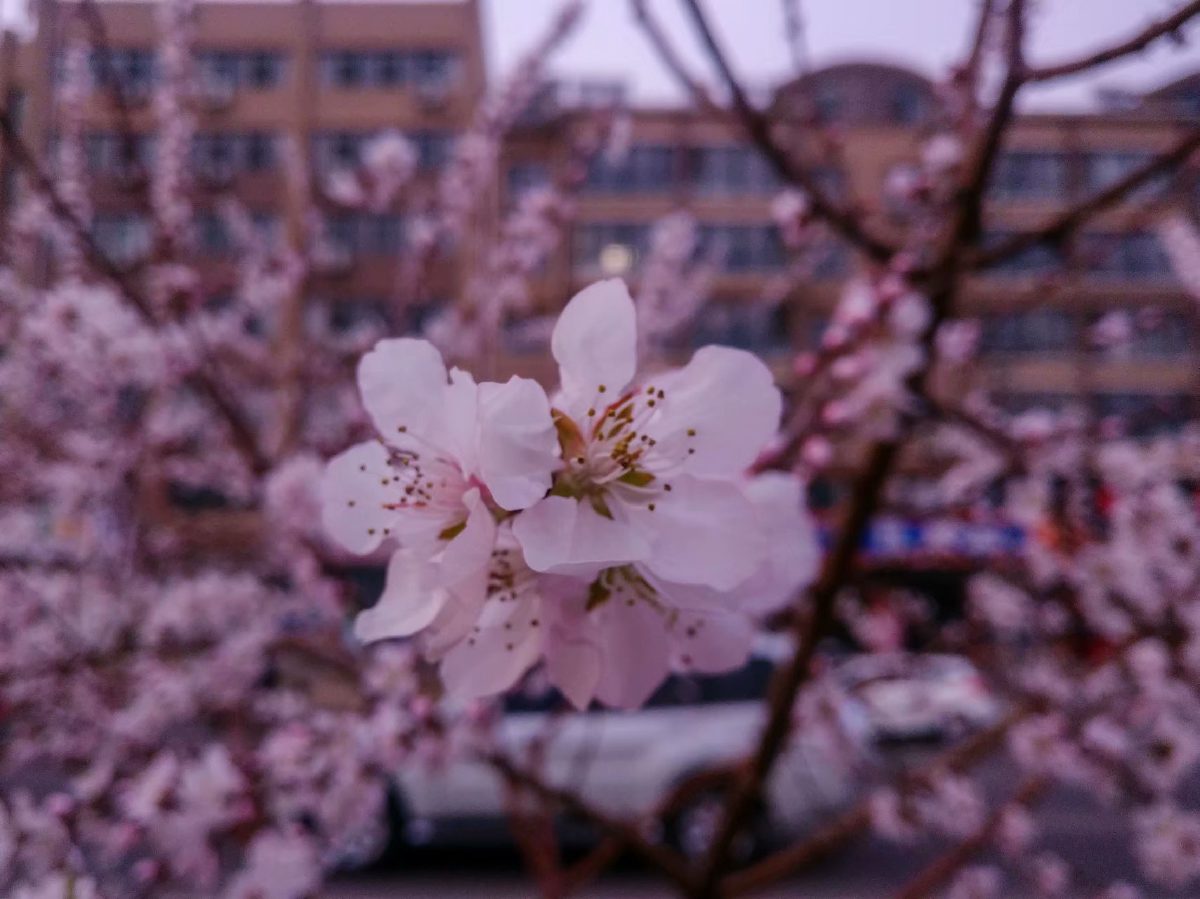 Spring 6