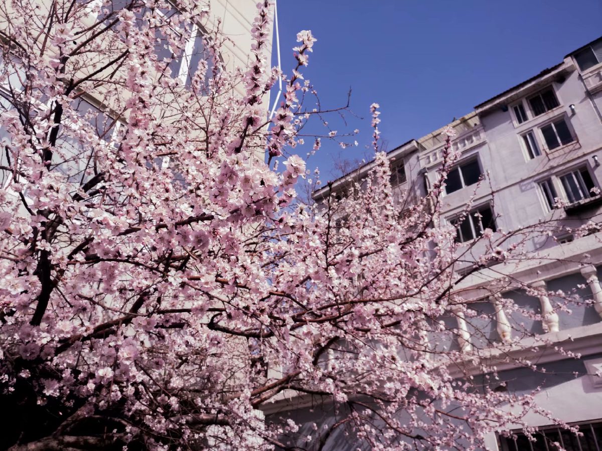 Spring 7